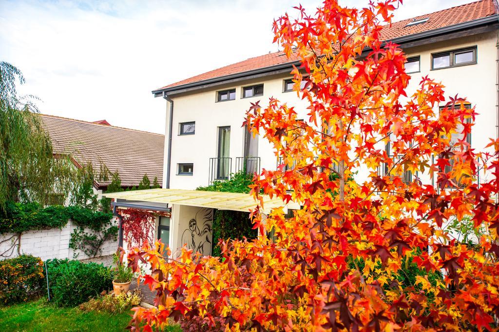 Gasthof May Residence Dumbravita (Timis)